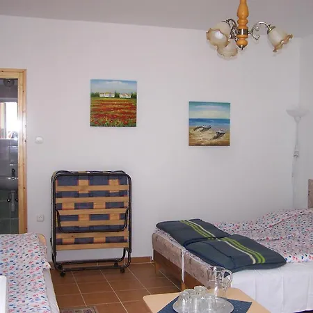 Orman Evi Korona